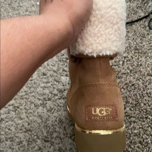 Chestnut Ugg’s